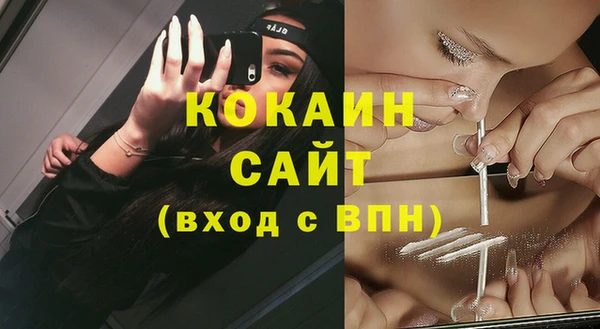 прущая мука Ельня