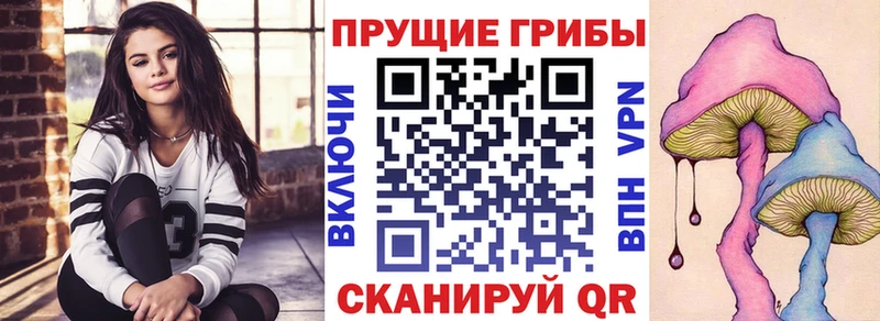 darknet клад  кракен зеркало  Ирбит  Галлюциногенные грибы Magic Shrooms 