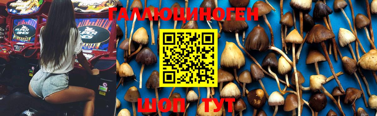 Псилоцибиновые грибы мицелий  Вход с VPN  Ирбит 